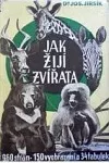 Jak žijí zvířata - Přírodopis živočišstva