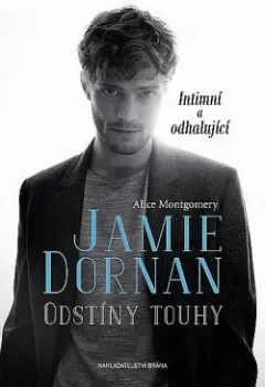 Jamie Dornan - Odstíny touhy