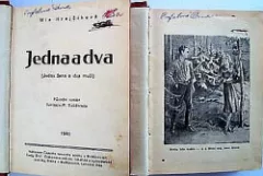 Jedna a dva (Jedna žena a dva muži)