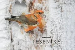 Jeseníky - hledání divoké krásy