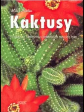 Kaktusy