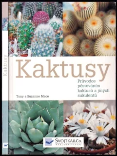 Kaktusy