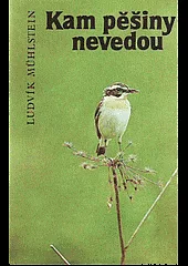 Kam pěšiny nevedou
