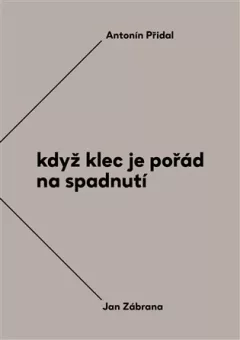 Když klec je pořád na spadnutí - Vzájemná korespondence Antonína Přidala a Jana Zábrany z let 1963-1984