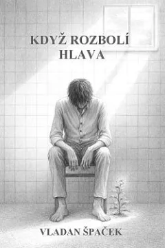 Když rozbolí hlava