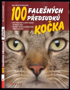 Kočka