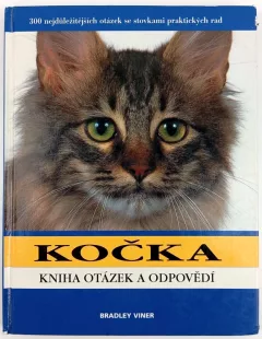 Kočka