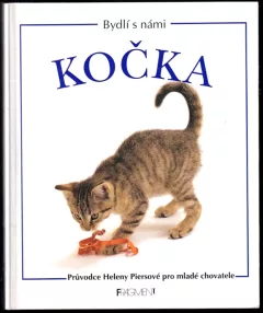 Kočka