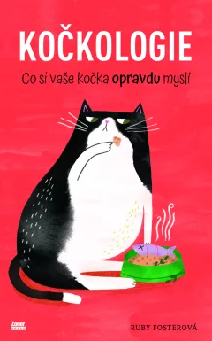 Kočkologie - Co si vaše kočka opravdu myslí