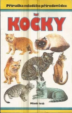 Kočky