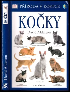 Kočky