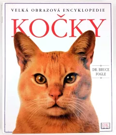 Kočky