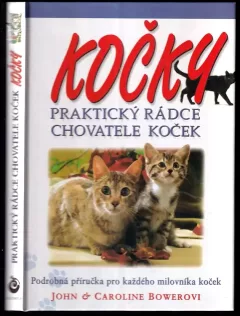 Kočky