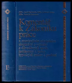 Komentář k Zákoníku práce a souvisejícím předpisům doplněný o výňatky z důvodových zpráv, judikatury a vzory typických smluv a podání (, 1999)...
