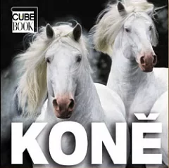 Koně