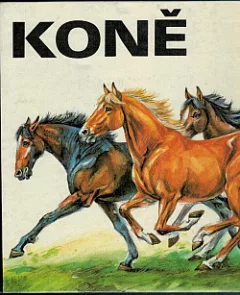 Koně