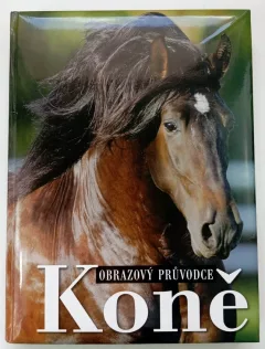 Koně
