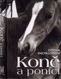 Koně a poníci