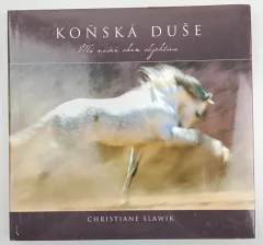 Koňská duše