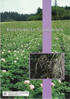 Kořenomorka bramborová
