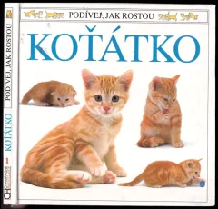 Koťátko
