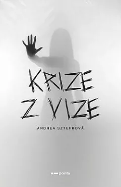 Krize z vize