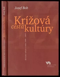 Krížová cesta kultúry : (Kritické reflexie z rokov 1989-2007)
