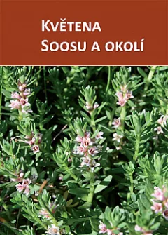 Květena Soosu a okolí