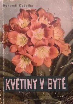 Květiny v bytě