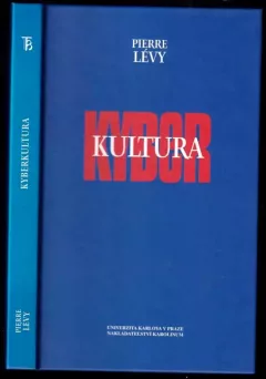 Kyberkultura : zpráva pro Radu Evropy v rámci projektu "Nové technologie: kulturní spolupráce a komunikace&quot