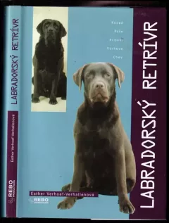 Labradorský retrívr