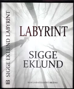 Labyrint