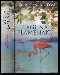 Laguna plameňáků