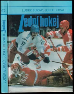 Lední hokej