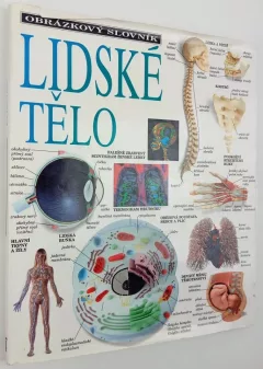 Lidské tělo