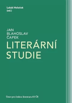 Literární studie