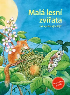 Malá lesní zvířata: Jak vyrůstají a žijí?