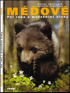 Méďové