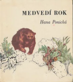 Medvedí rok