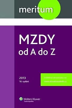 Mzdy od A do Z 2013