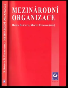 Mezinárodní organizace