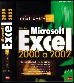 Mistrovství v Microsoft Excel 2000 a 2002