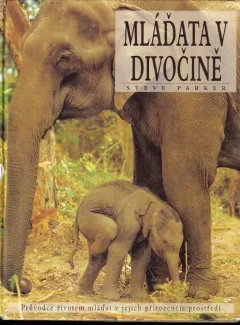 Mláďata v divočině