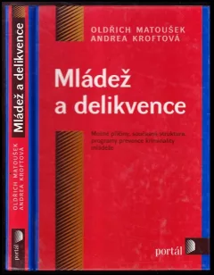 Mládež a delikvence