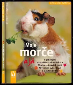 Moje morče a já