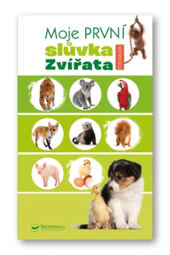 Moje první slůvka