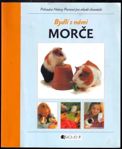 Morče
