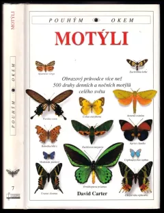 Motýli