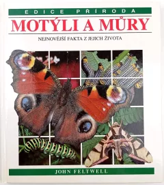 Motýli a můry