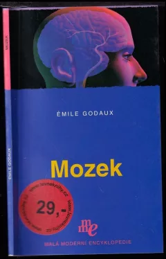 Mozek
